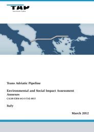 ESIA Baseline and Impact Assessment Methodology - Trans Adriatic ...