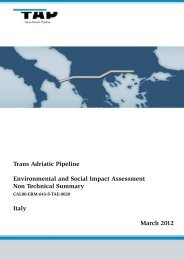 ESIA Italy â Non Technical Summary - Trans Adriatic Pipeline