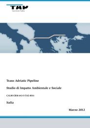 ESIA Italia â Allegato 7 Relazione Paesaggistica - Trans Adriatic ...