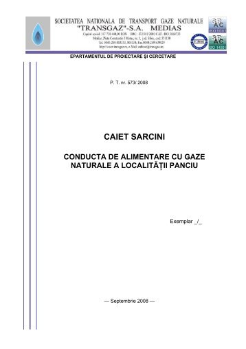 CAIET SARCINI - Transgaz