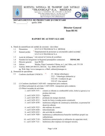 Raport de autoevaluare - Transgaz