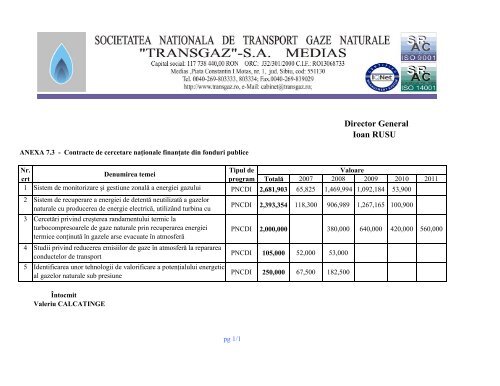 Raport de autoevaluare - Transgaz