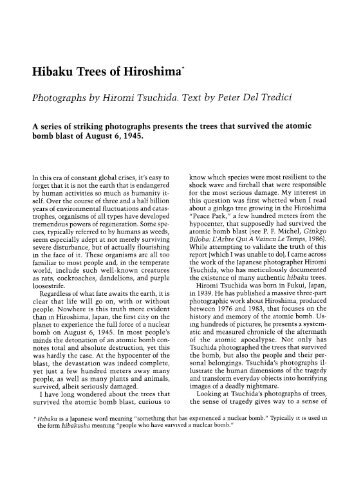 Hibaku of Hiroshima*