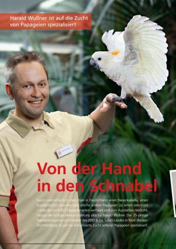 Von der Hand in den Schnabel