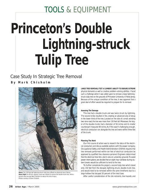 Lightning-Struck - Case Study in Strategic Tree ... - Treebuzz.com