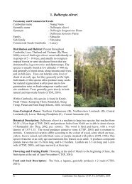 Dalbergia oliveri - Cambodia Tree Seed Project
