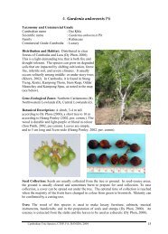 Gardenia ankorensis - Cambodia Tree Seed Project