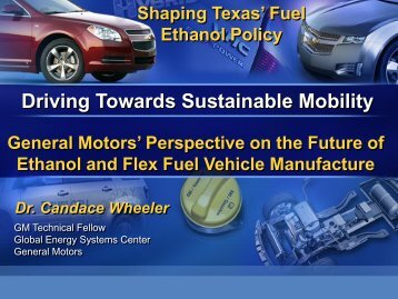 Perspective on Future of Ethanol and Flex Fuel Vehicle Manufacture