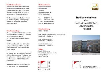 Flyer Wohnheim