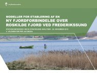 Modeller for etablering af en ny fjordforbindelse over Roskilde Fjord ...