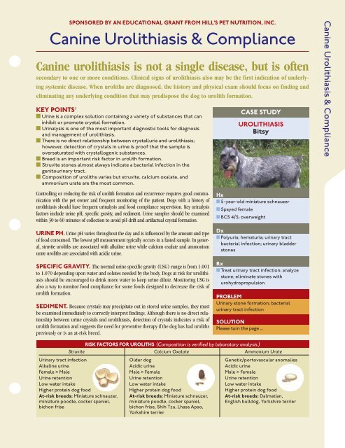 why does my dog have high ph in urine