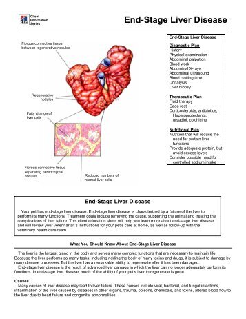 End-Stage Liver Disease - HillsVet