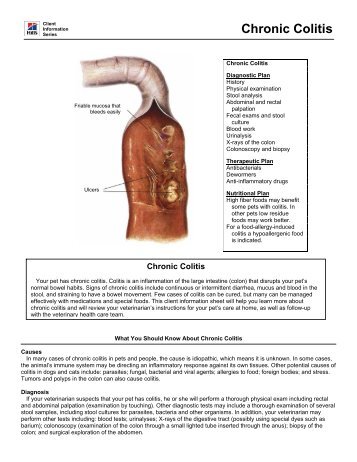 Chronic Colitis - HillsVet