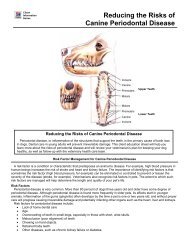 Reducing the Risks of Canine Periodontal Disease - HillsVet