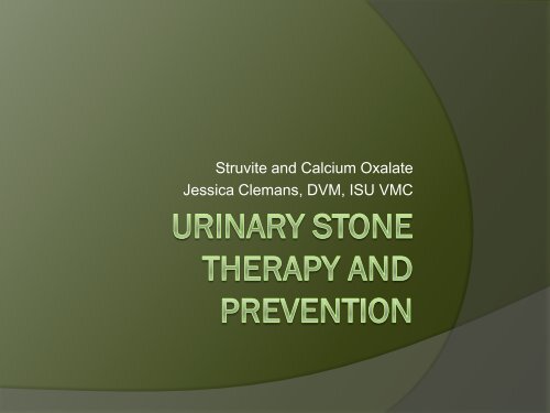 Struvite and Calcium Oxalate Jessica Clemans ... - Bichon Health