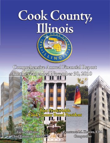 2010 Comprehensive Annual Finance Report - Cook County