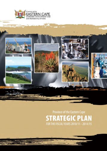 Strategic Plan 2010-2015 - Dedea
