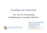 Grundlagen des Ultraschalls (3.2 MB)