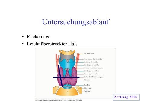 Grundlagen des Ultraschalls (3.2 MB)