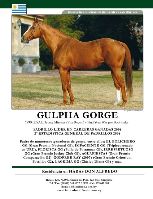 GULPHA GORGE (USA) - don Alfredo