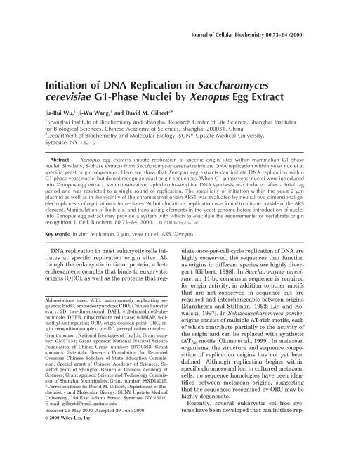 Initiation of DNA Replication in Saccharomyces ... - ResearchGate
