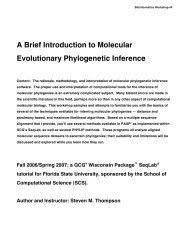 A Brief Introduction to Molecular Evolutionary Phylogenetic Inference