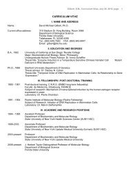 CURRICULUM VITAE - Gilbert - Florida State University