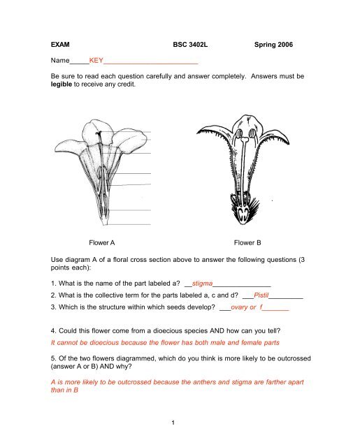 Exam Key 2006 Fsu Biology