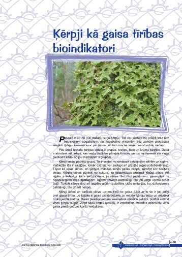 Ķērpji kā gaisa tīrības bioindikatori