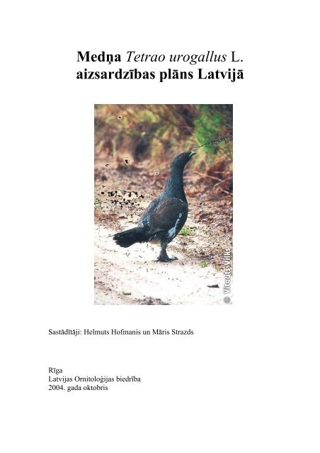Mednis (Tetrao urogallus) - Dabas aizsardzības pārvalde