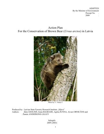 Brown bear Ursus arctos - Dabas aizsardzības pārvalde