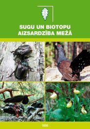 Sugu un biotopu aizsardzība mežā - Dabas aizsardzības pārvalde