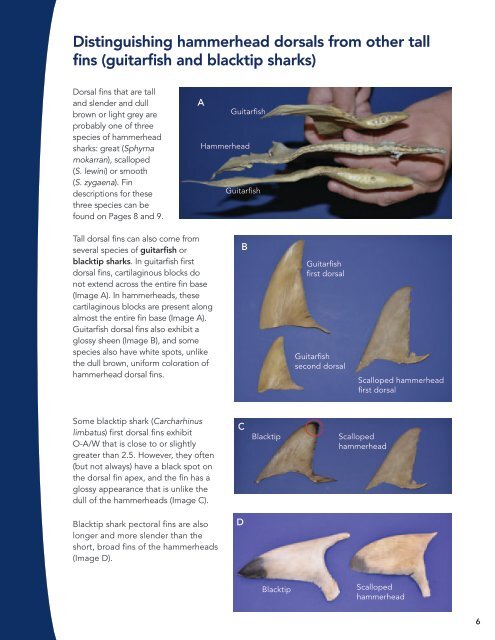 Identifying Shark Fins: