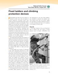 Fixed ladders - National Safety Council