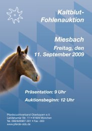 Auktionsfohlen - Pferdezuchtverband Oberbayern eV