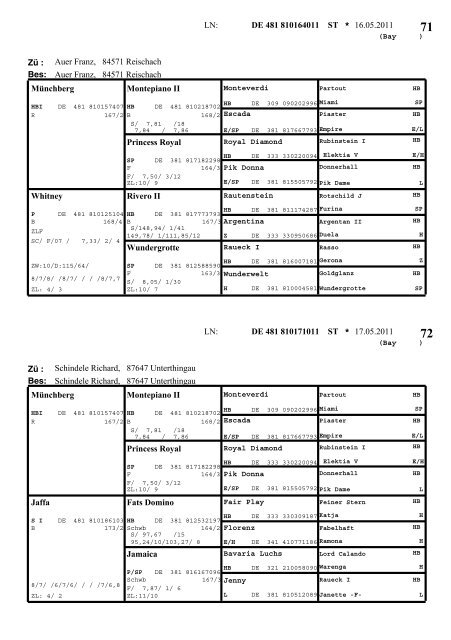 Warmblut - Pferdezuchtverband Oberbayern eV