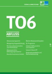 T06-Abfluss - Kontinentale