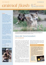 Animal flash Nr. 40 - Susy Utzinger Stiftung für Tierschutz