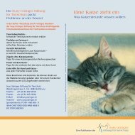 Eine Katze zieht ein - Susy Utzinger Stiftung fÃ¼r Tierschutz