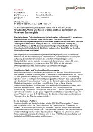 Generalversammlung Graubuenden Ferien pdf 113.6 ... - Graubünden
