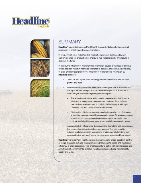 HeadlineÂ® Fungicide Plant Health Research Summary