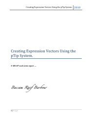 Creating Expression Vectors Using the pTip System - Thompson ...