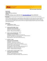 BIS Concentration Check Sheet