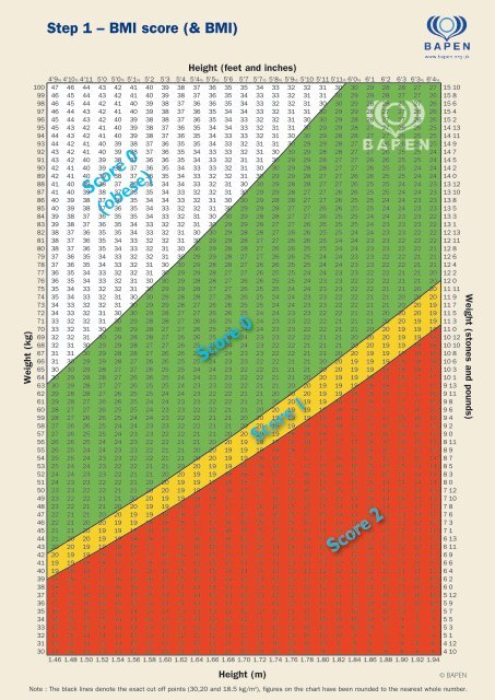 Bmi Score Chart