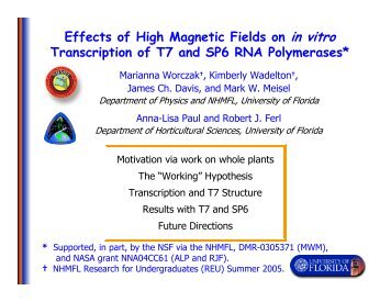 Effects of High Magnetic Fields on in vitro Transcription of T7 and ...