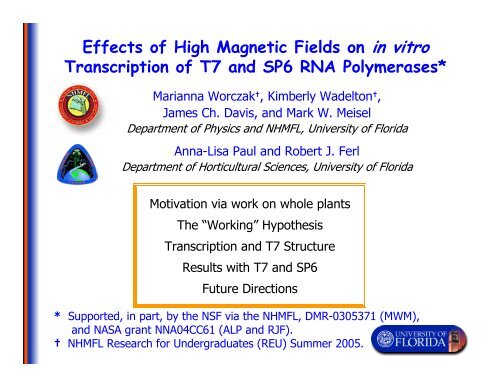 Effects of High Magnetic Fields on in vitro Transcription of T7 and ...