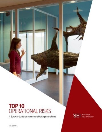 TOP 10 OPERATIONAL RISKS - SEI