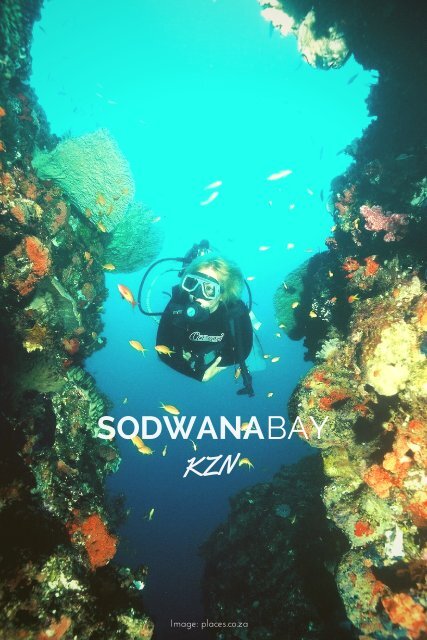 South African Dive Adventure