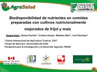 Biodisponibilidad de nutrientes en comidas preparadas ... - AgroSalud
