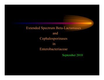 Extended Spectrum Beta-Lactamases and Cephalosporinases in ...